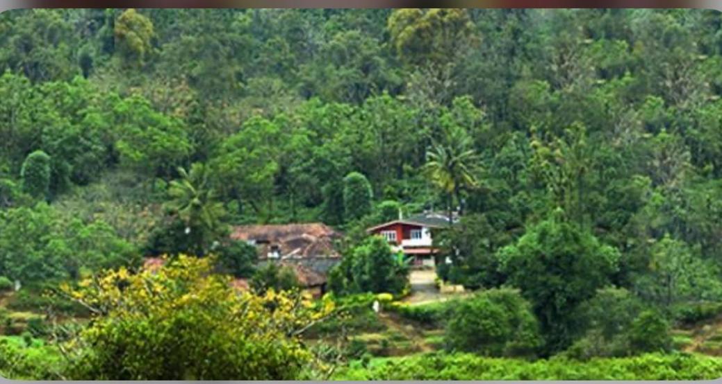 Coorg Naladi Holidays Kakkabe Экстерьер фото